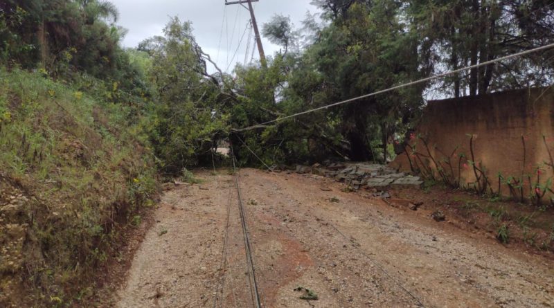 Chuvas intensas derrubam árvores, postes e deixam milhares de casas sem energia elétrica em Ibiúna