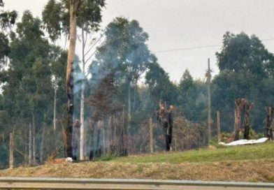 Queimadas e incêndios afetam o sistema elétrico na região