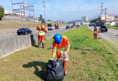 CCR alerta para o risco de jogar lixo as margens da rodovia